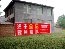 华安如何让墙体广告展现最大化效果
