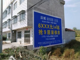华安墙体广告质量分析