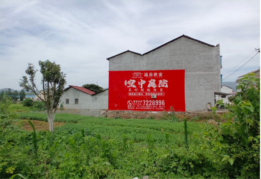 华安做墙体广告的意义